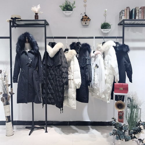 品牌大碼女裝 專業(yè)產(chǎn)品介紹與批發(fā)代理指南